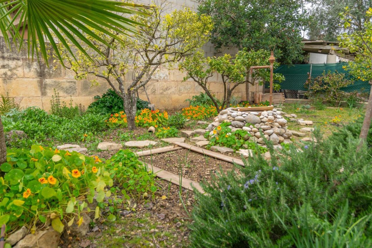 Construcciones Balaguer Villa Mancor del Valle Buitenkant foto